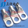 上炬批发定制JG系列铜鼻子，JG铜端子，JG16
