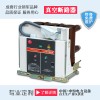 VS1-12侧装式真空断路器\VS1-12户内高压断路器