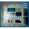 非标定制BXMD系列防爆配电箱 仪表箱 接线控制箱规格