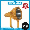 GTZM8500-250W防爆灯 GTZM8500防爆金卤灯