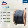 各种规格低压纯铝电力电缆 天环YJLV交联电缆定制 工程电缆