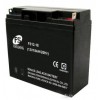丰圣蓄电池FS12-55产品详细价格参数