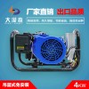 大漠森电动车增程器汽油发电机48v4KW吊蓝式