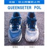 花粉·砂土附着防止整理剂Queenseter POL