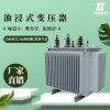 河北石家庄市油变变压器厂家供货