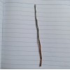 铜及铜合金常温化学浸镍液