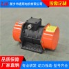 通用YZU-3-2 乌鲁木齐侧板振动电机-立式振动电机型号