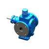 齿轮油泵报价-「恒盛泵业」齿轮泵@高粘度泵价格@福建福州